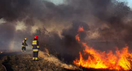 Incendi in Europa, lo studio: il clima li ha resi fino a venti volte pi� probabili